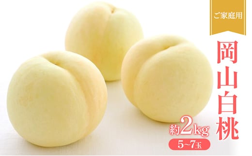桃 2027年 先行受付 ご家庭用 岡山 白桃 約2kg (5～7玉) フルーツ 果物 岡山 赤磐市
