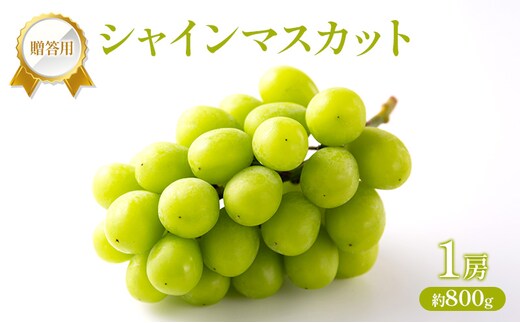 ぶどう 2026年 先行受付 贈答用 シャインマスカット 1房 約800g フルーツ 果物 岡山 赤磐市