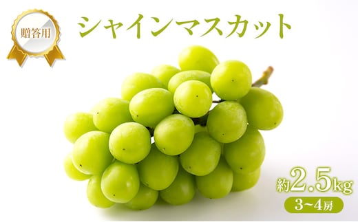 ぶどう 2027年 先行受付 贈答用 シャインマスカット 2.5kg (3～4房) フルーツ 果物 岡山 赤磐市
