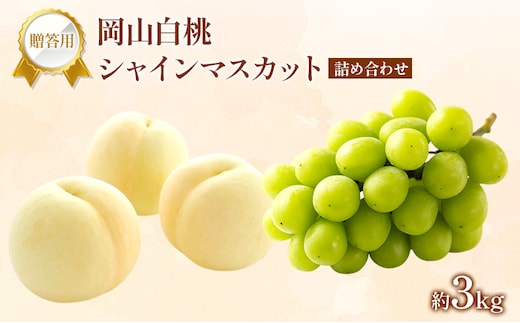 桃 ぶどう 2027年 先行受付 贈答用 白桃 シャインマスカット 詰め合わせ 約3kg フルーツ 果物 岡山 赤磐市