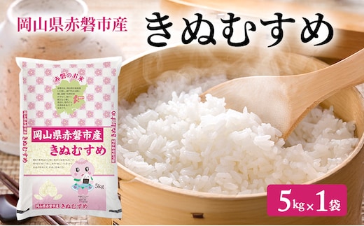 米 2025年産 きぬむすめ 5kg 1袋 岡山県赤磐市産 精米 白米 こめ お米 特Aランク