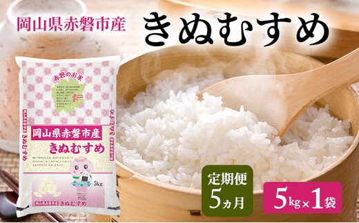 米 2025年産 定期便 5ヵ月 きぬむすめ 5kg 1袋 岡山県赤磐市産 精米 白米 こめ お米 特Aランク 5回