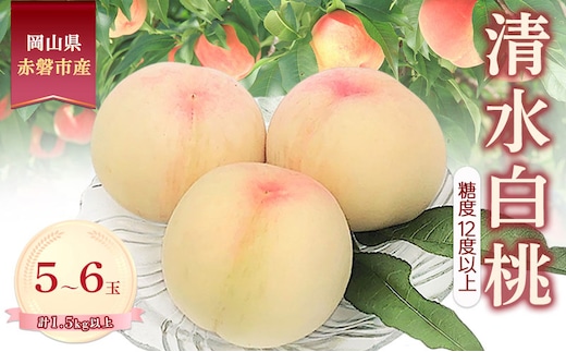 桃 2026年 数量限定 清水白桃 糖度12度以上 5-6玉 計1.5kg以上 岡山県 赤磐市産