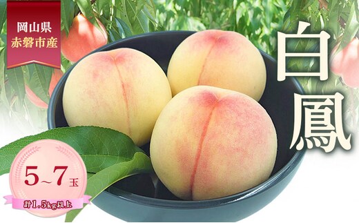 桃 2026年 数量限定 白鳳 5-7玉 計1.5kg以上 岡山県 赤磐市産