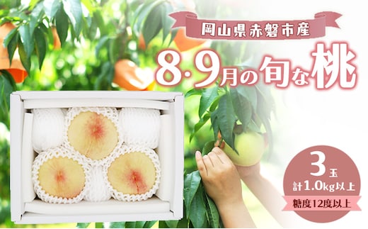 桃 2026年 数量限定 岡山の白桃 『8・9月の旬な桃』 3玉 計1.0kg以上 糖度12度以上