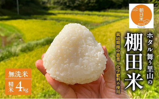 先行受付 農薬不使用 無洗米 ホタル舞う里山の棚田米 精米4kg 令和8年産 朝日2kg×2袋