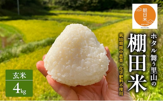 先行受付 農薬不使用 ホタル舞う里山の棚田米 玄米4kg 令和8年産 朝日2kg×2袋