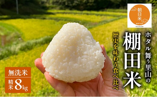 先行受付 伝統稲と現代稲食べ比べ 無洗米 ホタル舞う里山の棚田米 精米8kg 令和8年産 朝日2kg にじのきらめき2kg 各2袋
