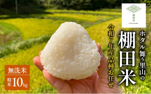 品種お任せ 令和7年産 ホタル舞う里山の棚田米 無洗米 精米10kg ひとめぼれ2kg又は朝日2kgを計5袋