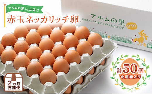 卵【2回 定期便】 赤玉 ネッカリッチ卵 50個入り 鶏卵 たまご