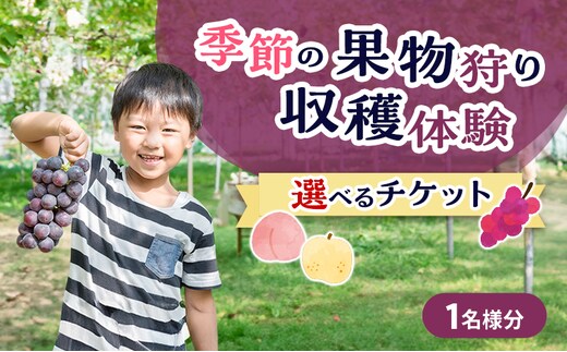 フルーツ 季節の果物狩り 収穫体験 選べる チケット 1名様分 フルーツ狩り シャインマスカット ぶどう 梨 桃 藤原園芸 岡山県 赤磐市