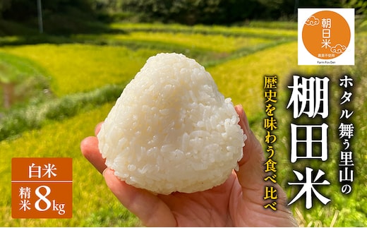 先行受付 伝統稲と現代稲食べ比べ 白米 ホタル舞う里山の棚田米 精米8kg 令和8年産 朝日2kg にじのきらめき2kg 各2袋