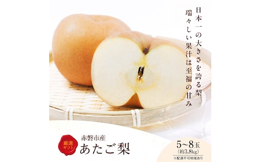梨 2027年 先行予約 あたご梨 5～8玉 約3.8kg 化粧箱 岡山県 赤磐市産 果物 フルーツ