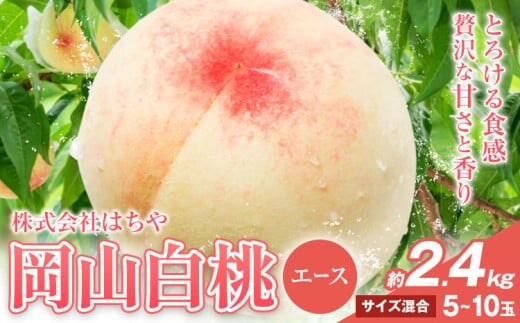 【先行予約】岡山白桃 等級 エース 約2.4kg《7月上旬‐8月下旬頃出荷》株式会社 はちや もも モモ 岡山 国産 フルーツ 果物 岡山県 浅口市 フルーツ モモ 果物 青果 旬 白桃 国産 岡山県産【配送不可地域あり】---124_c2037_7a8c_25_26000_2400ge---