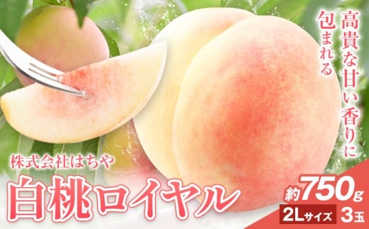 【先行予約】岡山白桃 等級 ロイヤル 約750g《7月上旬‐8月下旬頃出荷》もも モモ 岡山 国産 フルーツ 果物 岡山県 浅口市 株式会社 はちや フルーツ モモ 果物 青果 旬 白桃 国産 岡山県産【配送不可地あり】---124_c2040_7a8c_25_17000_750gr---