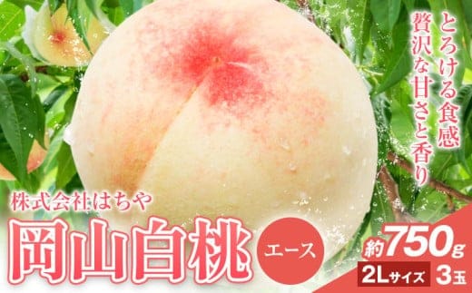 【先行予約】岡山白桃 等級 エース 約750g《7月上旬‐8月下旬頃出荷》株式会社 はちや もも モモ 岡山 国産 フルーツ 果物 岡山県 浅口市 フルーツ モモ 果物 青果 旬 白桃 国産 岡山県産【配送不可地域あり】---124_c2041_7a8c_25_15500_750ge---
