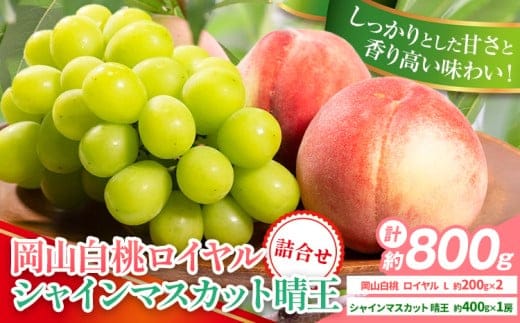 【先行予約】岡山県産 岡山白桃 ロイヤル L~ 3Lサイズ シャインマスカット 計 800g 詰合せ 株式会社 はちや《7月上旬‐8月下旬頃出荷》もも 岡山 国産 フルーツ 果物 岡山県 浅口市 フルーツ モモ 果物【配送不可地域あり】---124_c2048_7a8c_25_23000_800gr---