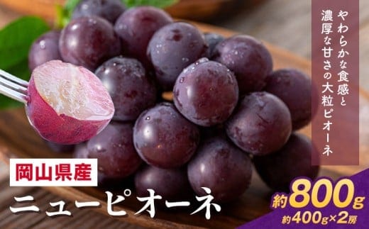 【先行予約】 岡山県産 ニューピオーネ詰合せ 選べる 計 800g 株式会社はちや《8月下旬‐9月下旬頃出荷》岡山県 浅口市 ぶどう 葡萄 フルーツ ギフト 果物 デザート 国産 送料無料【配送不可地域あり】---124_c2091_8c9c_25_14500_400g2---