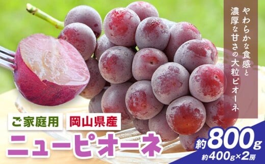 【先行予約】岡山県産 ご家庭用 ニューピオーネ詰合せ 計800g 株式会社はちや《8月下旬-9月下旬頃出荷》岡山県 浅口市 ぶどう 葡萄 フルーツ ギフト 果物 デザート 国産 送料無料【配送不可地域あり】---124_c2097_8c9c_25_13000_k400g2---