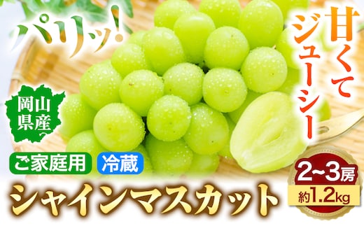 【先行予約】シャインマスカット 岡山県産 シャインマスカット ご家庭用 2~3房(約1.2kg)《9月中旬-11月中旬頃より発送予定(土日祝除く)》テレビせとうち株式会社 冷蔵 果物 ブドウ 送料無料 岡山県 浅口市 シャインマスカット ---124_c2522_9b11b_25_16500_1200g---