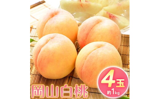 【2026年先行予約】桃 もも 岡山白桃 4玉 約1kg 岡山県産 環山堂株式会社《2026年7月上旬-8月上旬頃出荷》岡山県 浅口市 白桃 果物 フルーツ 送料無料---124_c2261_7a8a_25_15500_30---
