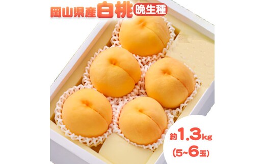 【2026年発送先行予約】 岡山県産 白桃 晩生種 約 1.3 kg 5～6玉 晴れの国 おかやま館 漂流岡山 《2026年7月下旬-9月中旬頃に発送》岡山県 浅口市 フルーツ モモ 果物 青果 旬 【配送不可地域あり】（北海道・沖縄・離島）---124_c2185_7c9b_25_17500_1300g---