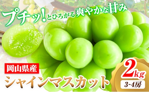 【2026年先行予約】シャインマスカット 岡山県産 2kg 3房 ~ 4房《2026年9月上旬-9月中旬頃出荷》ひらた農園 マスカット 送料無料 岡山県 浅口市 シャインマスカット ぶどう フルーツ 果物 贈り物 ギフト 国産 くだもの 果物 青果物---124_2001_9a9b_25_25000_2kg---