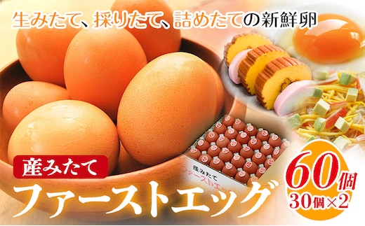 卵 たまご 赤玉 ファーストエッグ 60個《90日以内に出荷予定(土日祝除く)》株式会社めぐみ 岡山県 浅口市 送料無料 30個 × 2セット 食卓 産みたて 初卵 希少---124_86_90d_23_16500_s---