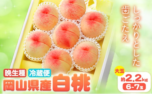【2026年先行予約】岡山県産 白桃 晩生種 大玉 約2.2kg 6-7玉晴れの国 おかやま館(漂流岡山)《2026年7月下旬-9月中旬頃出荷》岡山県 浅口市 フルーツ モモ 果物 青果 旬【配送不可地域あり】（離島）---124_c2186_7c9b_25_31000_2200g---