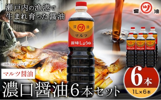 醤油 濃口醤油 6本セット 1L×6本 道広醤油店《90日以内に出荷予定(土日祝除く)》岡山県 浅口市 濃口醤油 甘口醤油 国産 調味料 しょうゆ 醤油6本 送料無料---124_166_90d_23_14000_6---