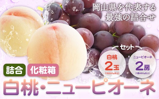 【2026年先行予約】詰合 白桃 1玉220g以上 2玉・ニューピオーネ 1房480g以上 2房 化粧箱入り 株式会社山博(中本青果)《2026年7月下旬-8月中旬頃出荷》岡山県 浅口市 ぶどう フルーツ ギフト 贈答用 旬 果物 国産 岡山県産 送料無料【配送不可地域あり】（北海道・沖縄・離島）---124_c1858_7c8b_25_24000_4p---