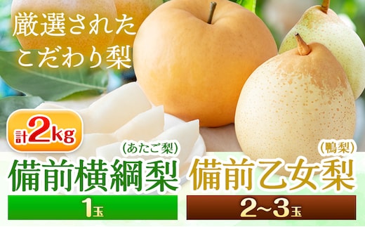 【先行予約】梨 なし 横綱梨 1玉 乙女梨 2～3玉 計2kg 石原果樹園 《11月中旬-12月下旬頃より発送予定》岡山県 浅口市 果物 フルーツ 梨 詰め合わせ あたご梨 鴨梨---124_3192_11b12c_25_25000_2kg---