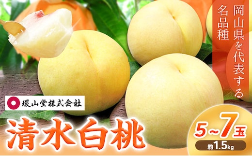 【2026年先行予約】桃 もも 清水白桃 5～7玉 約1.5kg 岡山県産 環山堂株式会社【配送不可地域あり】（北海道・沖縄・離島）《2026年7月中旬-7月下旬頃出荷》岡山県 浅口市 白桃 果物 フルーツ 送料無料---124_c2262_7b7c_25_23000_20---