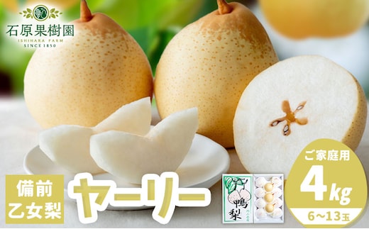 【先行予約】梨 なし ナシ ヤーリー 鴨梨 4kg 6～13玉《11月中旬-12月下旬頃より発送予定》石原果樹園 岡山県 浅口市 果物 フルーツ 新鮮---124_3197_11b12c_25_18500_4kg---