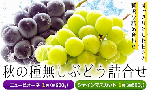 【2026年先行予約】秋の種無しぶどう詰合せ ニューピオーネ シャインマスカット 1房約600g 環山堂株式会社《2026年9月上旬-10月上旬頃出荷》岡山県 浅口市 ニューピオーネ シャインマスカット ぶどう マスカット果物 フルーツ 送料無料---124_c2271_9a10a_25_21500_30---