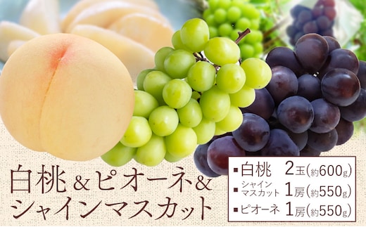 【先行予約】桃 ぶどう 白桃 2玉 約600g（1玉約300g）シャインマスカット 晴王 1房 550g以上 ピオーネ 1房 550g以上 もも 葡萄 詰合せ 岡山 国産 フルーツ 果物 桃茂實苑《6月中旬-8月下旬頃出荷》岡山県 浅口市 フルーツ【配送不可地域あり】---124_c2129_6b8c_25_49000_600g---