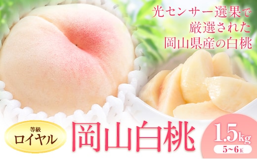 【2026年先行予約】岡山の白桃 等級 ロイヤル 約1.5kg(5～6玉) 清水白桃 おかやま夢白桃 白鳳 白麗 なつおとめ 晴れの国 岡山農業協同組合 鴨方支店 《7月上旬-7月末頃出荷》岡山県 浅口市 岡山県産 白桃 桃 もも 果物 フルーツ ギフト ご贈答 送料無料【配送不可地域あり】（北海道・沖縄・離島）---124_c3401_7a7m_25_24500_1500r---