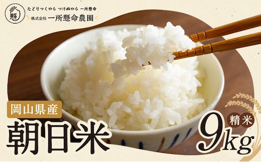 令和7年産 岡山県産 朝日米 精米 9kg 株式会社 一所懸命農園 岡山県 浅口市《30日以内に出荷予定(土日祝除く)》精米 米 あさひ 白米 送料無料---124_2272_11b12m_25_26000_9kg---