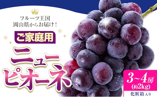 ご家庭用 フルーツ王国 岡山県産 ニューピオーネ 化粧箱入り 3房 ～ ４房 2kg【先行予約】 Lino ＆ Kai Farm《2026年9月中旬-10月中旬頃出荷》ピオーネ 送料無料 岡山県 浅口市 ニューピオーネ 岡山 ぶどう フルーツ 果物---124_c3926_9b10b_25_17000_kn2---