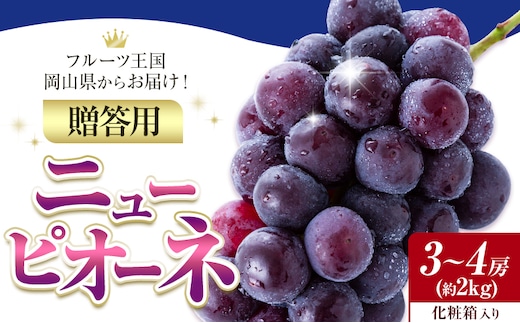 贈答用 フルーツ王国 岡山県産 ニューピオーネ 化粧箱入り 3房 ～ 4房 2kg【先行予約】 Lino ＆ Kai Farm《2026年9月中旬-10月中旬頃出荷》ピオーネ 送料無料 岡山県 浅口市 ギフト ニューピオーネ 岡山 ぶどう フルーツ 果物---124_c3927_9b10b_25_20500_zn2---