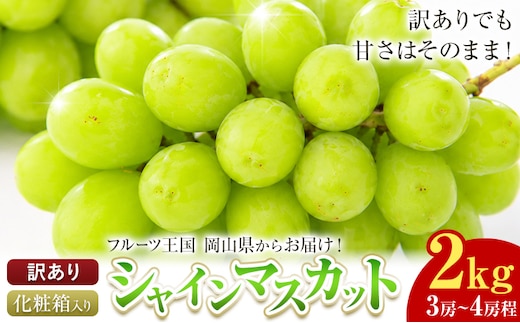 訳あり フルーツ王国 岡山県産 シャインマスカット 化粧箱入り 2kg 3房～4房前後 Lino ＆ Kai Farm《10月上旬-11月中旬頃出荷》マスカット 送料無料 岡山県 浅口市 シャインマスカット 岡山 ぶどう フルーツ 果物---124_c3923_10a11b_25_20000_w3---