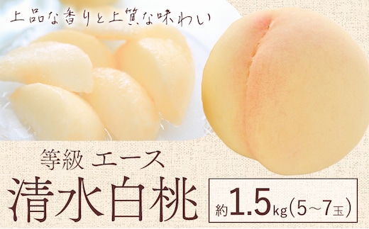 【先行予約】清水 白桃 等級 エース 約1.5kg 5～7玉入りもも モモ 岡山 国産 フルーツ 果物 ギフト 桃茂實苑《7月中旬-8月上旬頃出荷》岡山県 浅口市 フルーツ モモ 果物 青果 旬 白桃 国産 岡山県産【配送不可地域あり】---124_c2138_7b8a_25_25000_1500g---