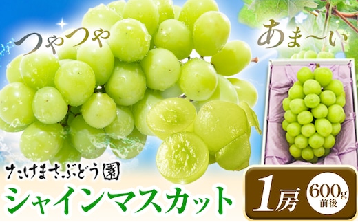 【2026年先行予約】ぶどう シャインマスカット 1房 たけまさぶどう園 《2026年9月上旬-10月中旬頃出荷》岡山県 浅口市 フルーツ デザート おやつ マスカット 果物 国産 岡山県産 くだもの 青果物 送料無料【配送不可地域あり】（北海道・沖縄・離島）（離島）---124_c2006_9a10b_25_17000_1---
