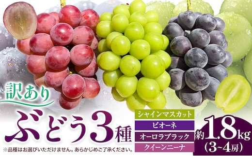 訳あり ぶどう 3種 セット 約1.8kg ( 3~4房 ) シャインマスカット ピオーネ クイーンニーナ オーロラブラック 株式会社日本植生グループ本社 NISSHOKU FARM《9月下旬-12月末頃出荷》ブドウ 浅口市 【配送不可地域あり】 (離島)---124_c3268_9c12m_25_17500_1800g---