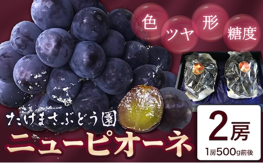 【2026年先行予約】ニューピオーネ 2房(1房500g前後) たけまさぶどう園 《2026年7月中旬-10月中旬頃出荷》岡山県 浅口市 送料無料 フルーツ 果物 岡山県産 青果物 お取り寄せフルーツ 岡山産 ふるさと納税 ピオーネ 岡山 ふるさと納税 ぶどう 岡山【配送不可地域あり】(離島)---124_c2009_7b10b_25_19000_2---