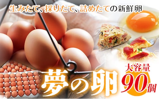 卵 たまご 赤玉 夢の卵 90個《90日以内に出荷予定(土日祝除く)》株式会社めぐみ 岡山県 浅口市 送料無料 大容量 大箱 たっぷり---124_79_90d_23_21000_9---