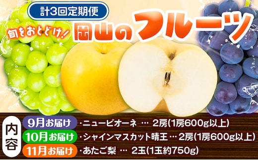 【2026年先行予約】定期便3回コース 岡山のフルーツ ニューピオーネ 2房 (1房600g以上) シャインマスカット 晴王 2房 (1房600g以上) あたご梨 2玉 (1玉約750g) 化粧箱入り 株式会社山博(中本青果) 《9月上旬-11月下旬頃出荷》 岡山県 浅口市 送料無料 【配送不可地域あり】（北海道・沖縄・離島）---124_c1896_9a11c_25_61000_tei---