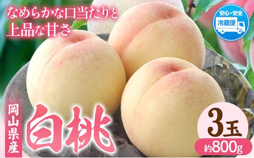 【2026年発送先行予約】岡山県産 白桃 内容量 3玉（約800g） クール便 晴れの国 おかやま館(フルーツランド岡山) 《2026年7月中旬-7月下旬頃発送予定》岡山県 浅口市 白桃 桃【配送不可地域あり】（北海道・沖縄・離島）---124_c2176_7b7c_25_16000_3p---
