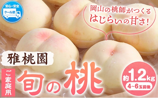 【2026年先行予約】ご家庭用 旬の桃 約1.2kg ( 4~6玉前後 ) 株式会社創・和(雅桃園) 《2026年7月上旬-8月上旬頃出荷》岡山県 浅口市 桃 もも フルーツ 果物 青果 旬 白桃 わけあり 訳あり【配送不可地域あり】（北海道・沖縄・離島）---124_c2244_7a8a_25_12000_1200g---