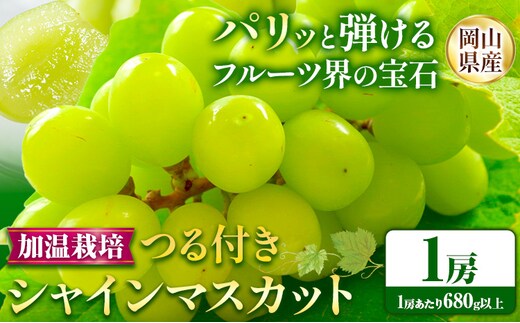 【先行予約】岡山県産 つる付き シャインマスカット 1房 (680g以上) 加温栽培 有限会社ホーティカルチャー神島《7月中旬-8月上旬頃出荷予定》岡山県 浅口市 マスカット ぶどう 葡萄 果物【配送不可地域あり】---124_c3563_7b8a_25_22000_1h---